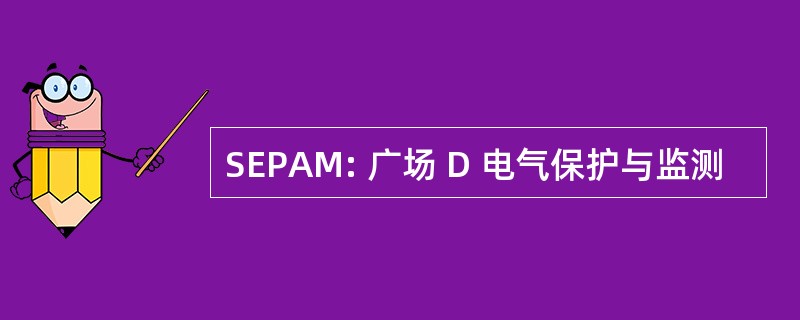 SEPAM: 广场 D 电气保护与监测