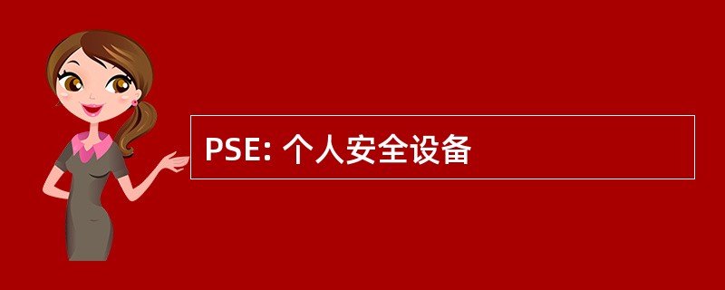 PSE: 个人安全设备