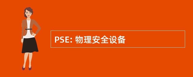 PSE: 物理安全设备