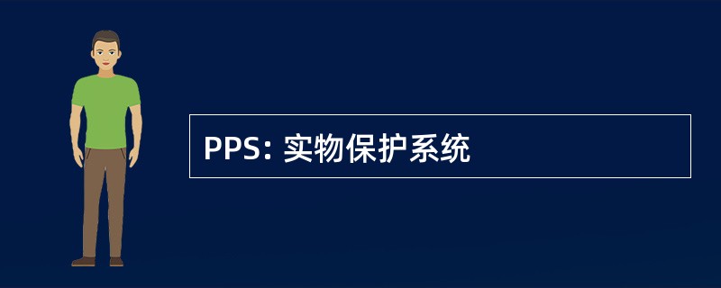 PPS: 实物保护系统