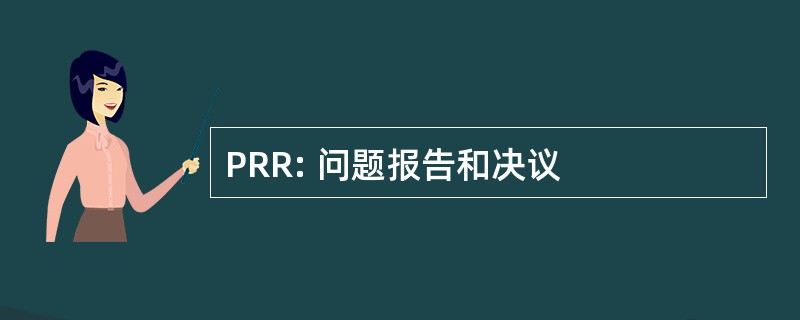 PRR: 问题报告和决议