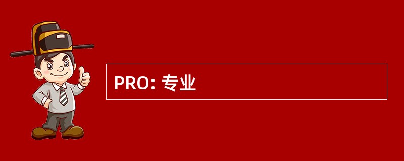 PRO: 专业