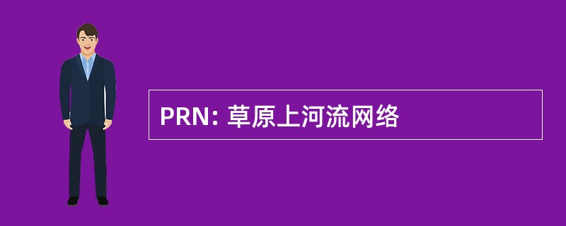 PRN: 草原上河流网络