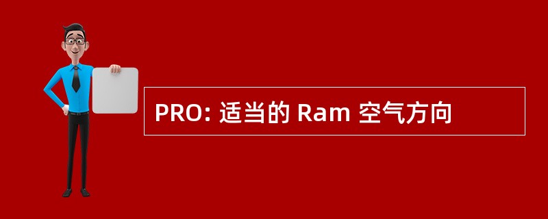 PRO: 适当的 Ram 空气方向