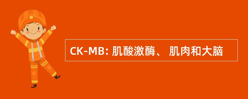 CK-MB: 肌酸激酶、 肌肉和大脑