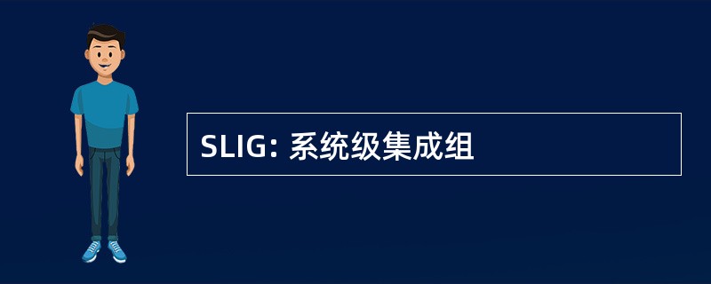 SLIG: 系统级集成组