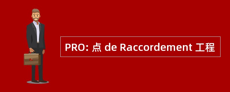 PRO: 点 de Raccordement 工程