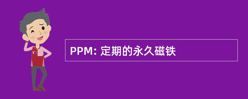 PPM: 定期的永久磁铁