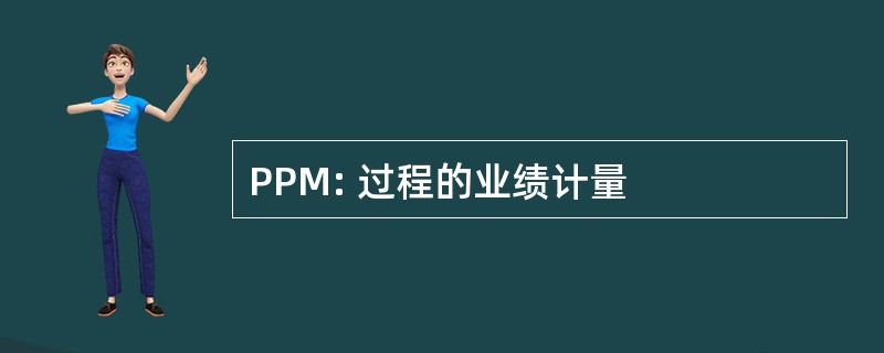 PPM: 过程的业绩计量