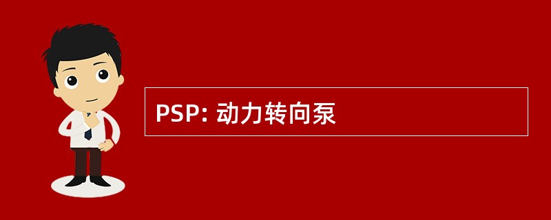 PSP: 动力转向泵