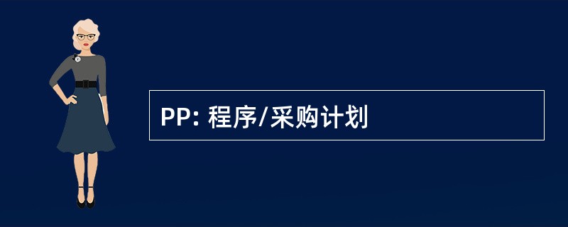 PP: 程序/采购计划