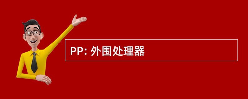 PP: 外围处理器