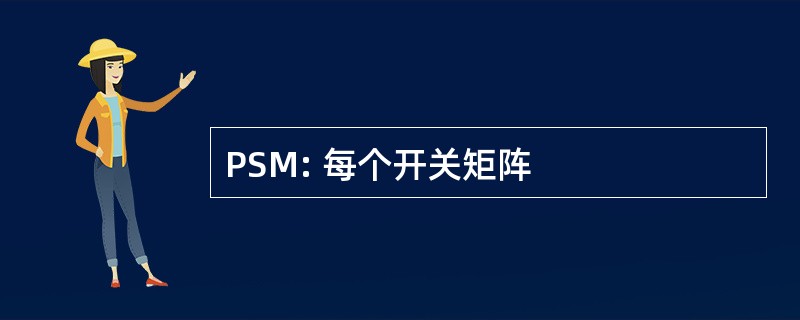 PSM: 每个开关矩阵