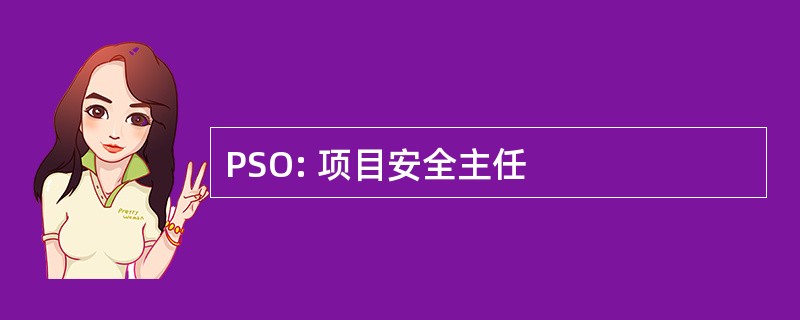 PSO: 项目安全主任