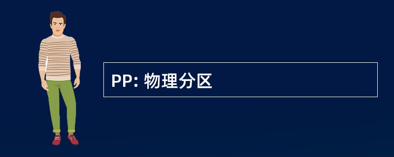 PP: 物理分区