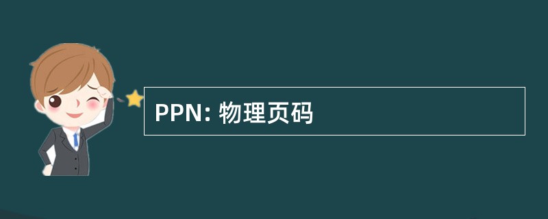 PPN: 物理页码