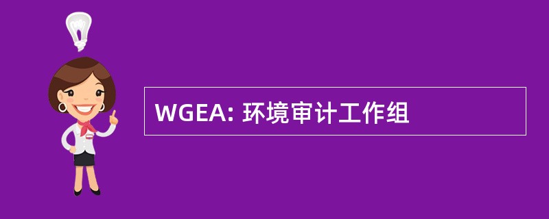 WGEA: 环境审计工作组