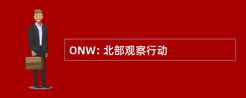 ONW: 北部观察行动