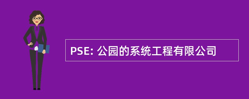 PSE: 公园的系统工程有限公司