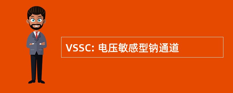 VSSC: 电压敏感型钠通道