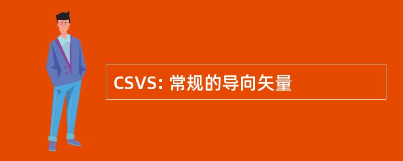 CSVS: 常规的导向矢量