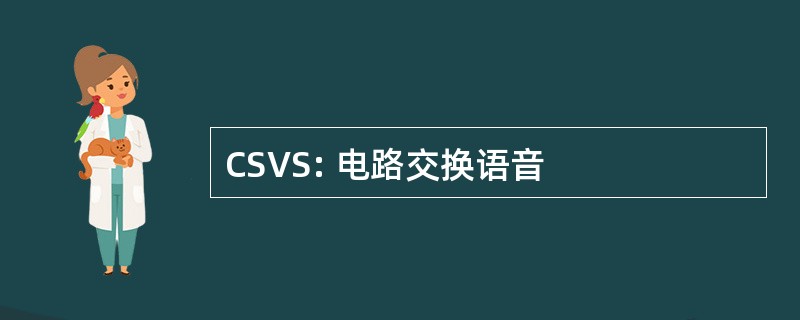 CSVS: 电路交换语音