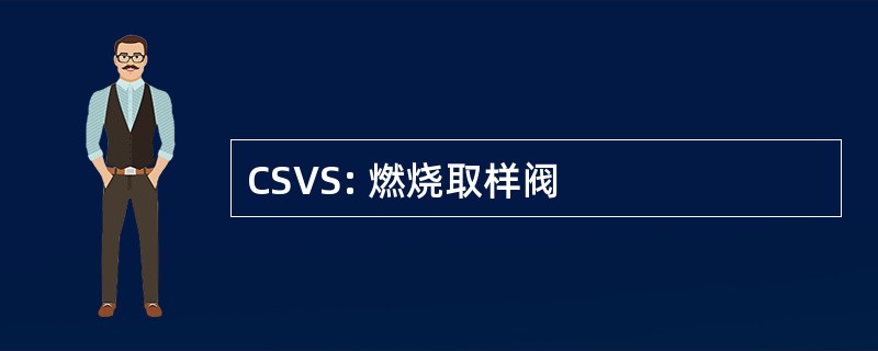 CSVS: 燃烧取样阀