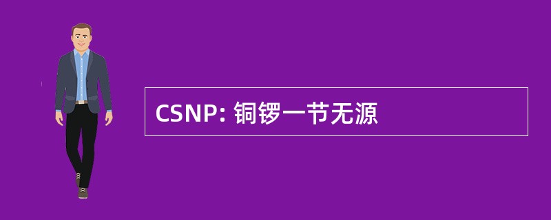 CSNP: 铜锣一节无源