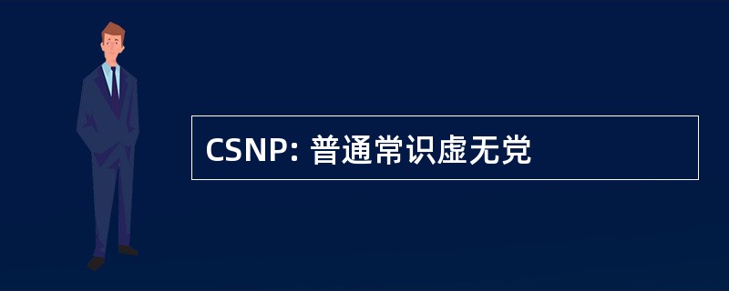 CSNP: 普通常识虚无党