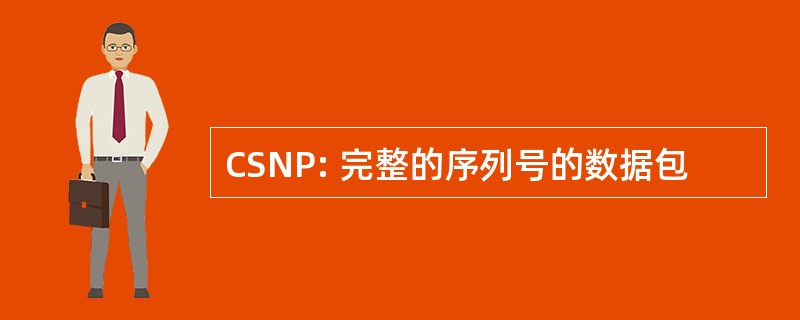 CSNP: 完整的序列号的数据包