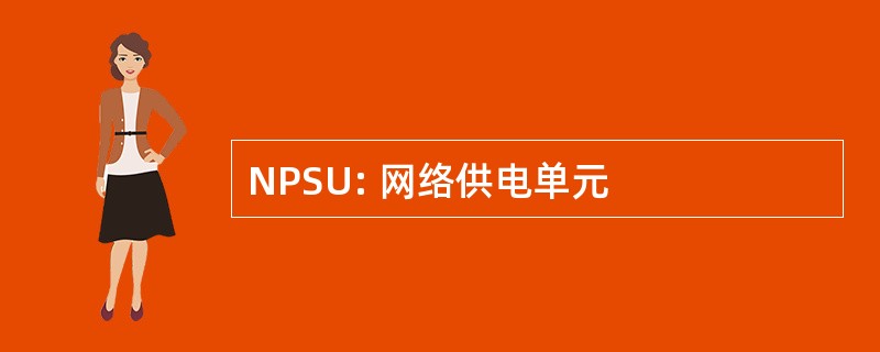 NPSU: 网络供电单元