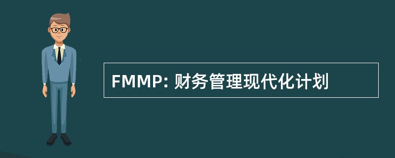 FMMP: 财务管理现代化计划