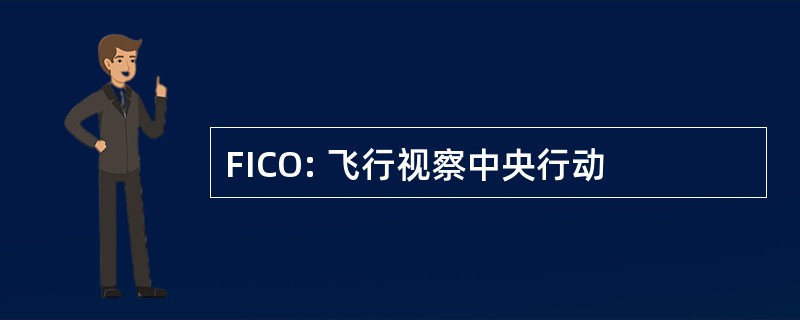 FICO: 飞行视察中央行动