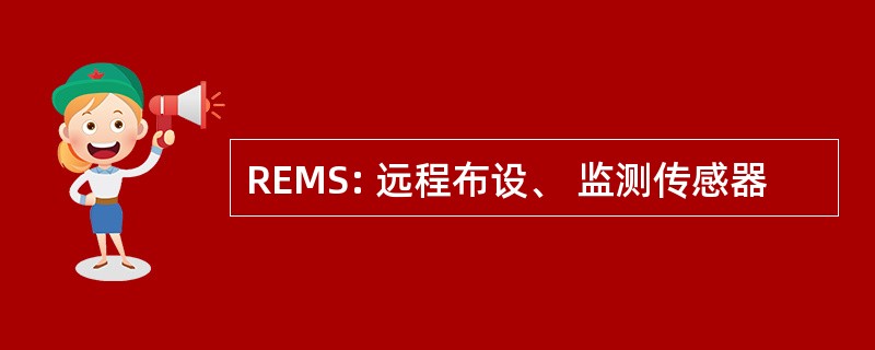 REMS: 远程布设、 监测传感器