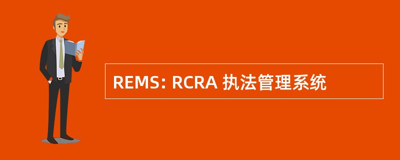 REMS: RCRA 执法管理系统