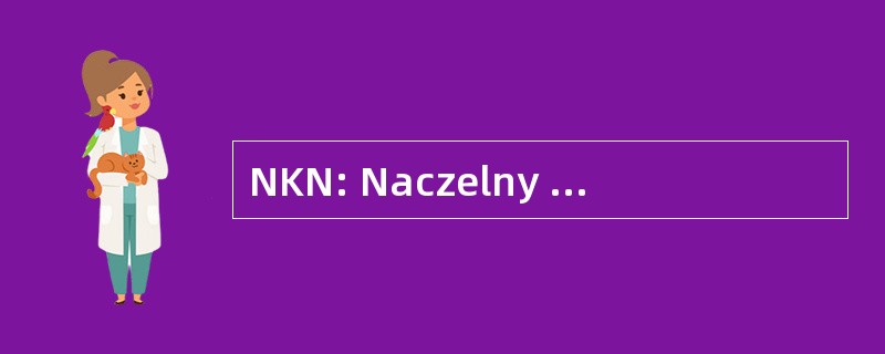 NKN: Naczelny Komitet Narodowy