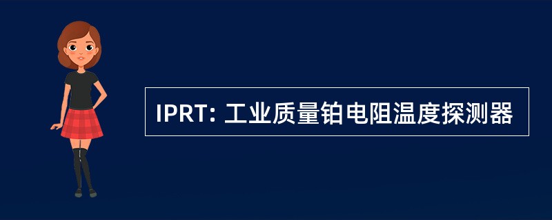 IPRT: 工业质量铂电阻温度探测器