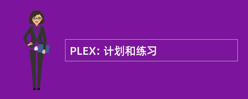 PLEX: 计划和练习