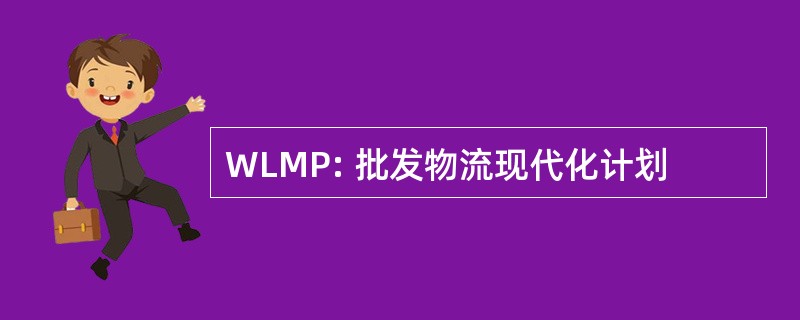 WLMP: 批发物流现代化计划