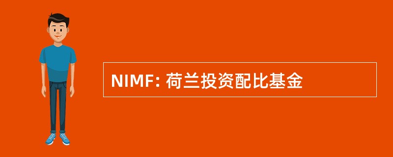 NIMF: 荷兰投资配比基金