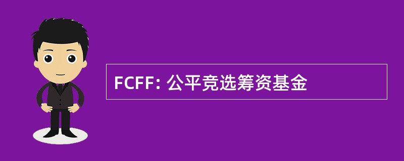 FCFF: 公平竞选筹资基金