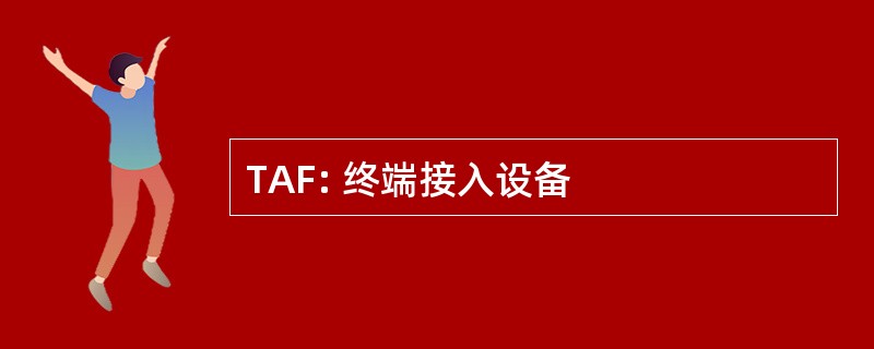 TAF: 终端接入设备