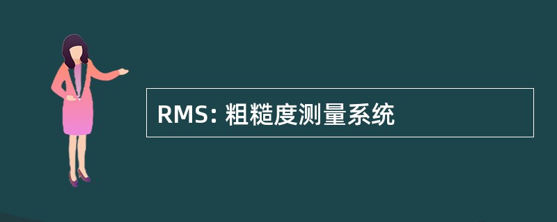 RMS: 粗糙度测量系统