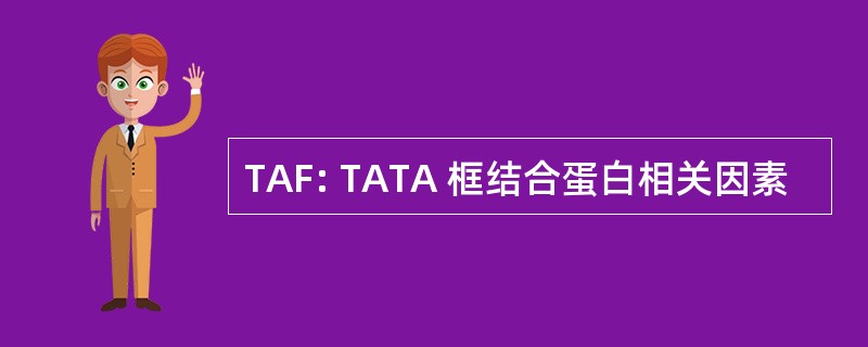 TAF: TATA 框结合蛋白相关因素