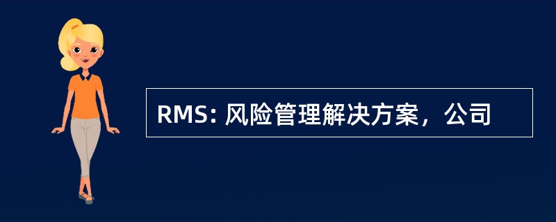 RMS: 风险管理解决方案，公司