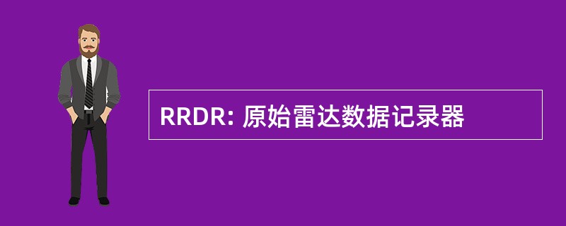 RRDR: 原始雷达数据记录器