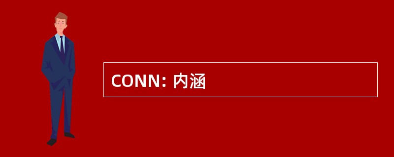 CONN: 内涵