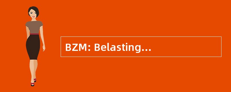 BZM: Belasting Zware Motorrijtuigen