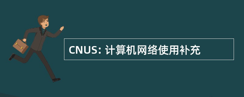 CNUS: 计算机网络使用补充