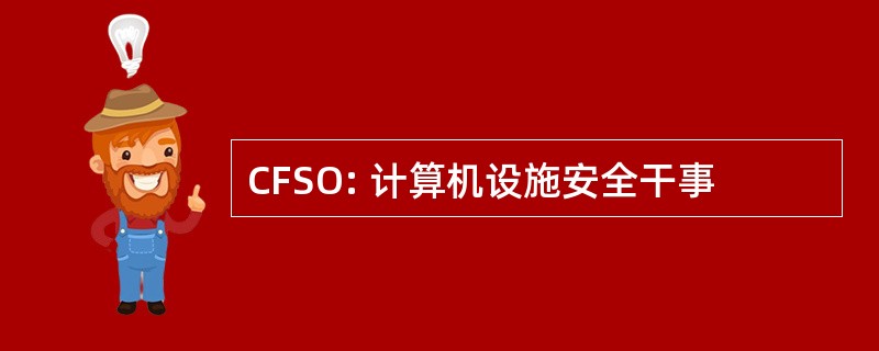 CFSO: 计算机设施安全干事